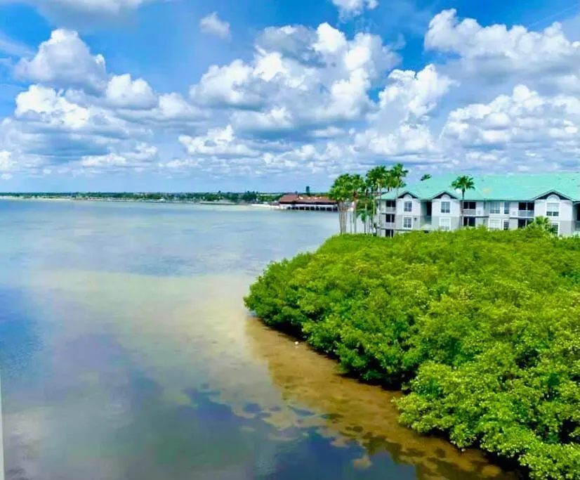 Ferienhaus Villa The Great Escape - Panoramic Sunset Views Tampa USA